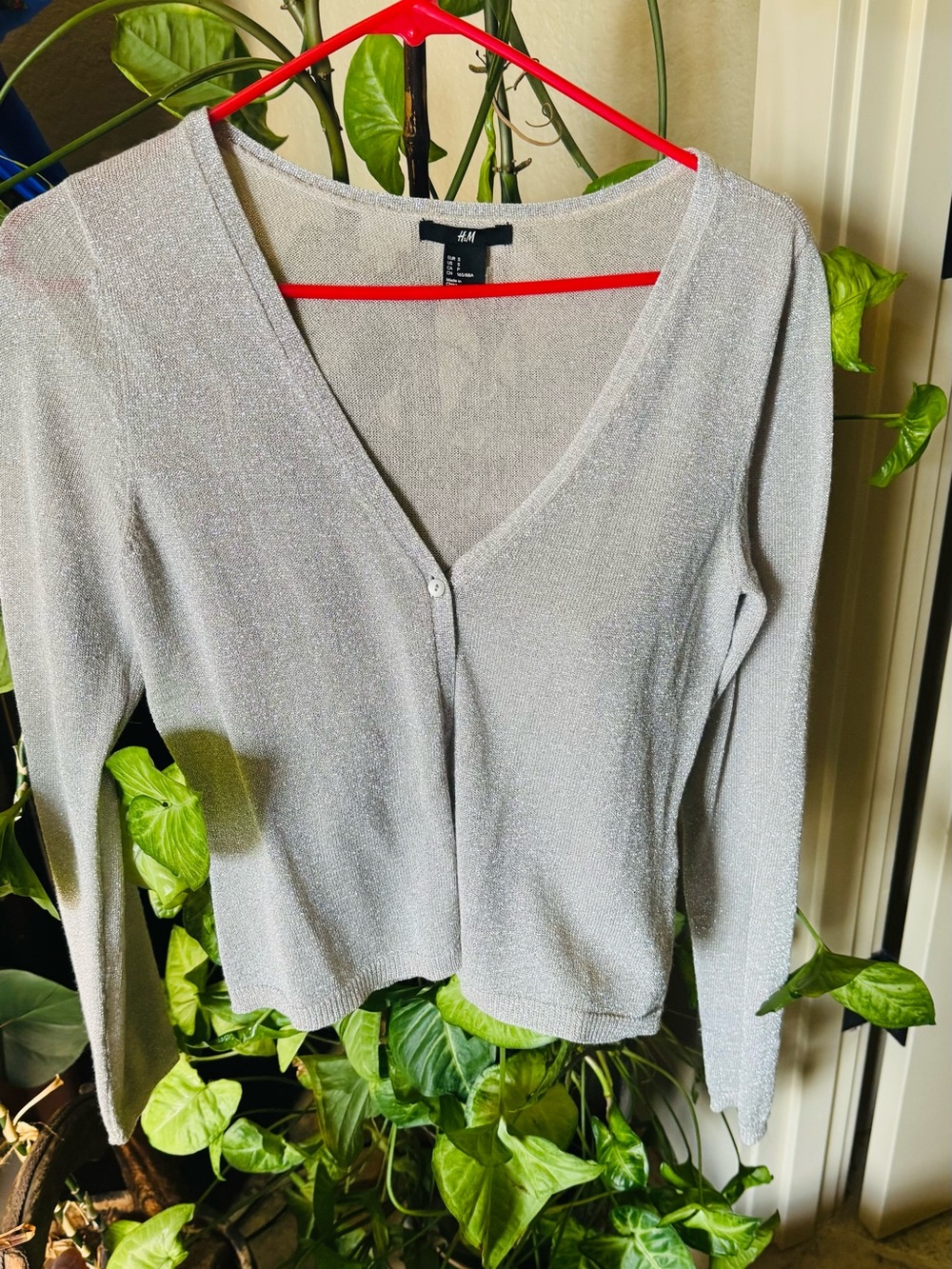H&M Light Silver Shimmery V-Neck Cardigan